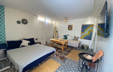 Studio avec Terrasse Privative- à Louer