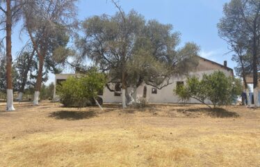 Terrain Agricole à Vendre – Ben Ahmed