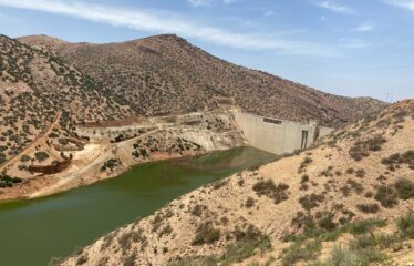 Terrain Agricole à Vendre – Ben Ahmed