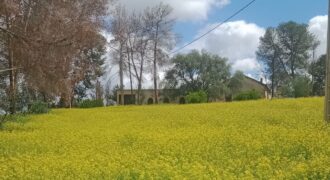 Terrain Agricole à Vendre – Ben Ahmed