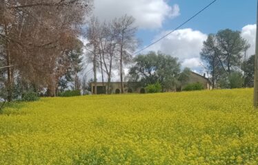 streetimmo terrain a vendre