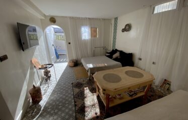 Studio avec Terrasse Privative- à Louer