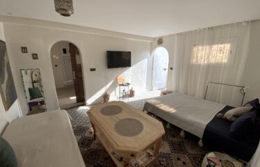 Studio avec Terrasse Privative- à Louer