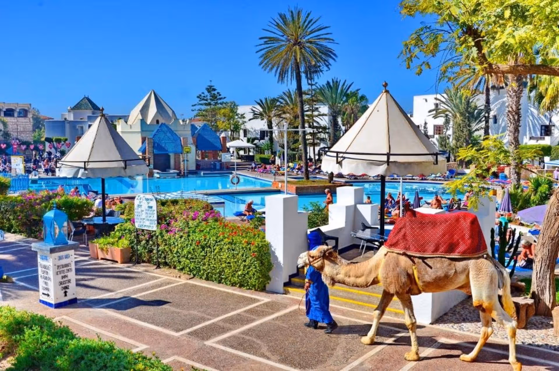 Vacances 2026 à Agadir : pourquoi la destination attire toujours plus de visiteurs